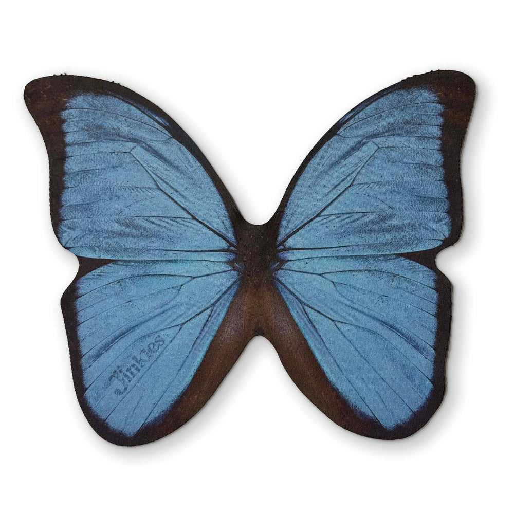 🦋 A BUTTERFLY YOU CAN CLEAN YOUR GLASSES WITH