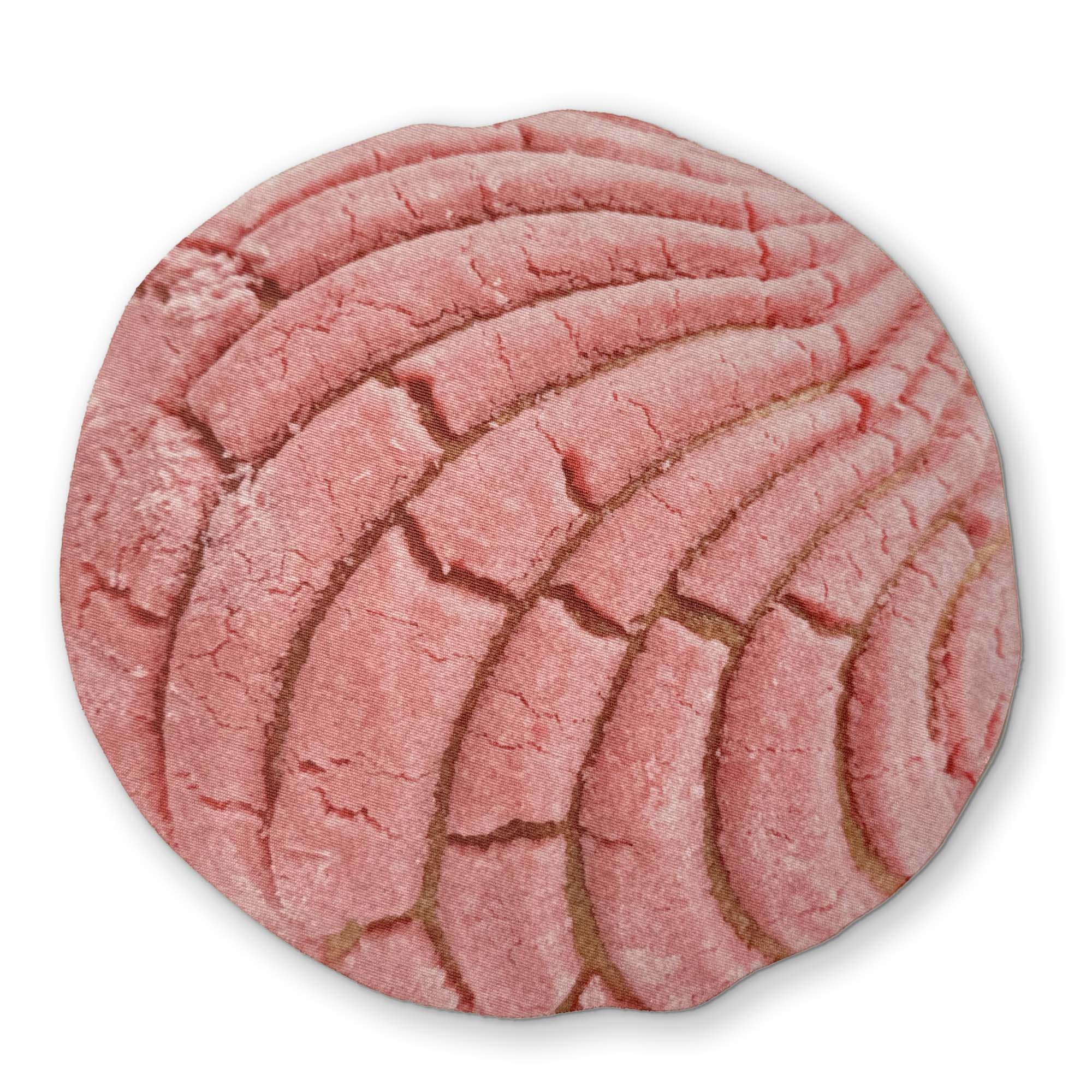 CONCHA YOU CAN CLEAN YOUR GLASSES WITH