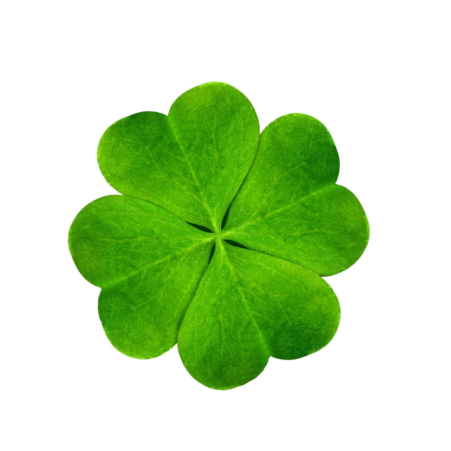 Microfiber Cleaning Cloth That Looks Like A Four-Leaf Clover – Nerdwax