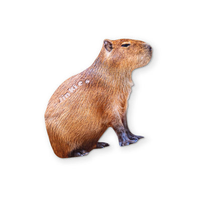 A CAPYBARA YOU CAN CLEAN YOUR GLASSES WITH