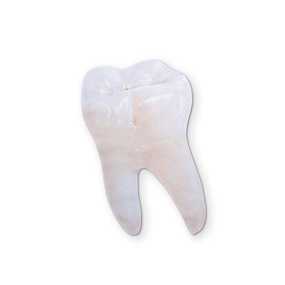 🦷 A CLEAN TOOTH YOU CAN CLEAN YOUR GLASSES WITH