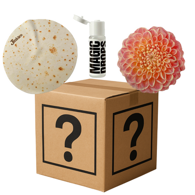 Nerdle's EXCLUSIVE Bundle