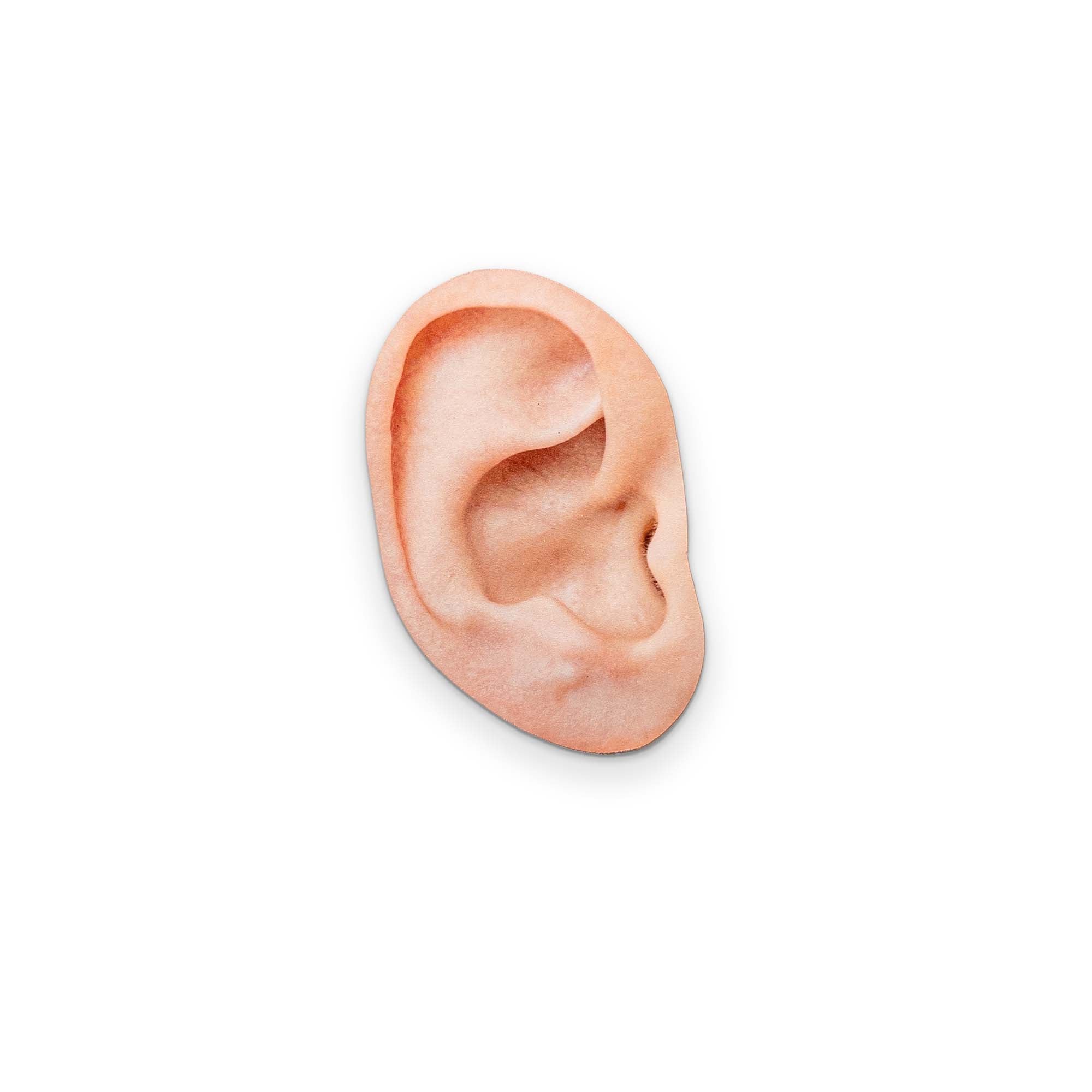 AN EAR YOU CAN CLEAN YOUR GLASSES WITH