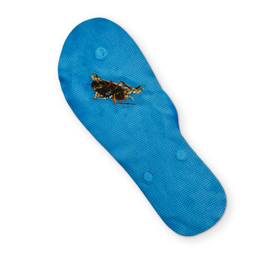 A CHANCLA YOU CAN CLEAN YOUR GLASSES WITH