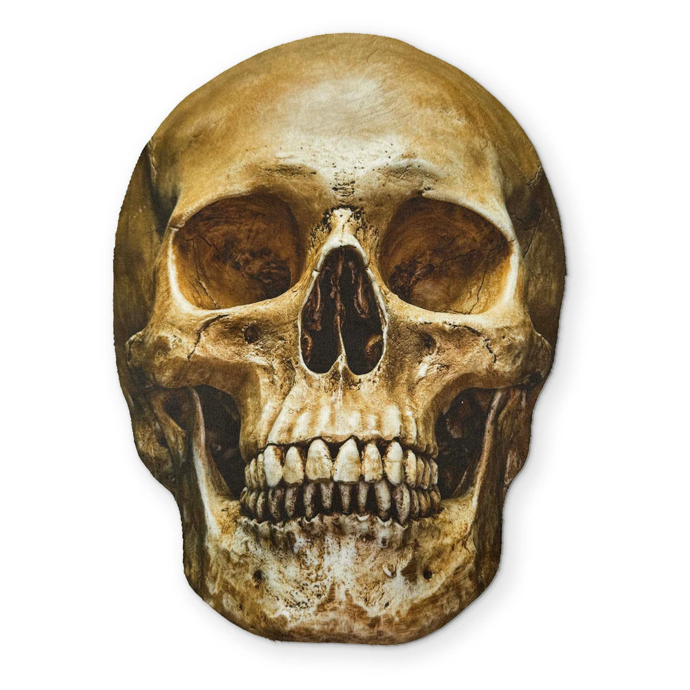 💀 A HUMAN SKULL YOU CAN CLEAN YOUR GLASSES WITH