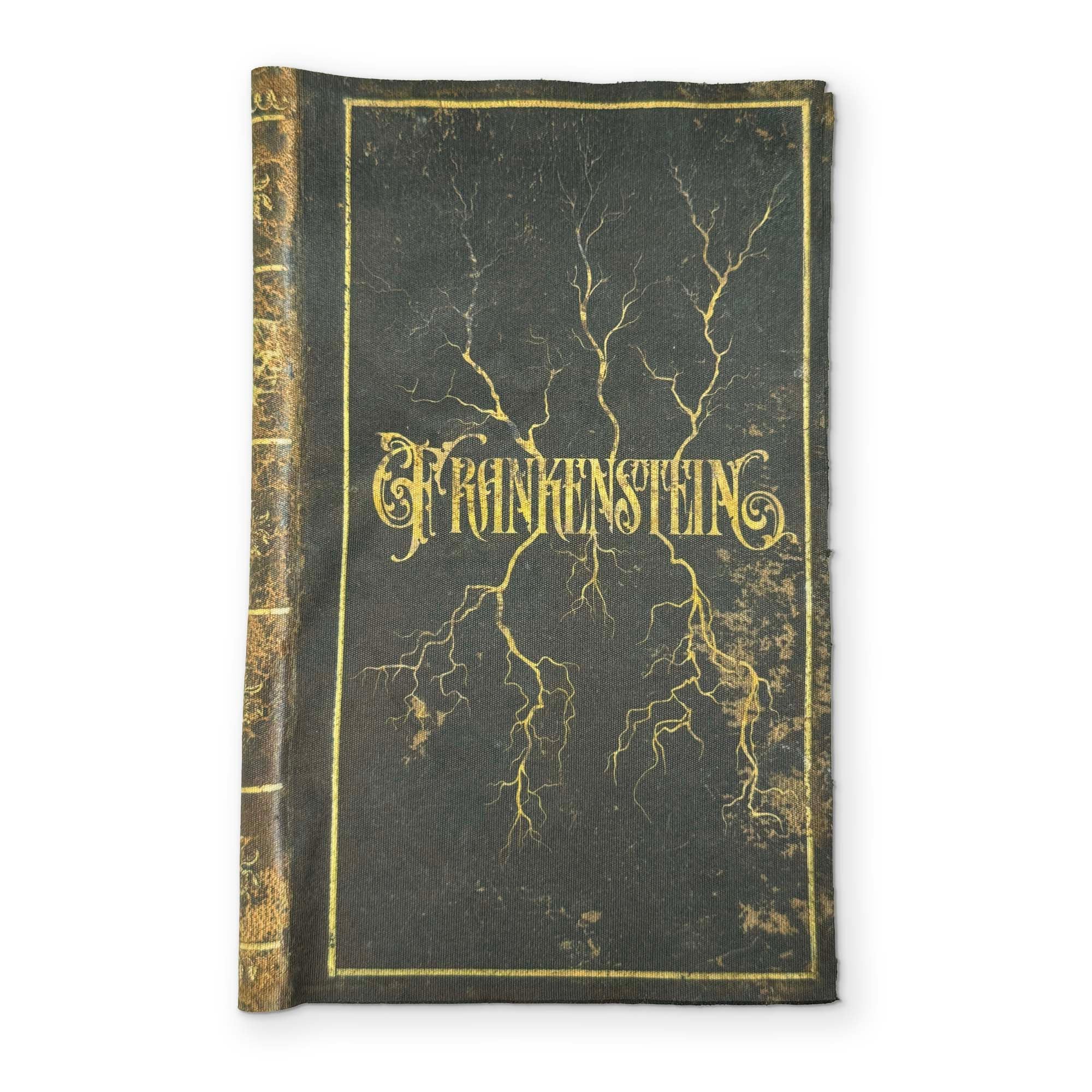 FRANKENSTEIN - A BOOK YOU CAN CLEAN YOUR GLASSES WITH