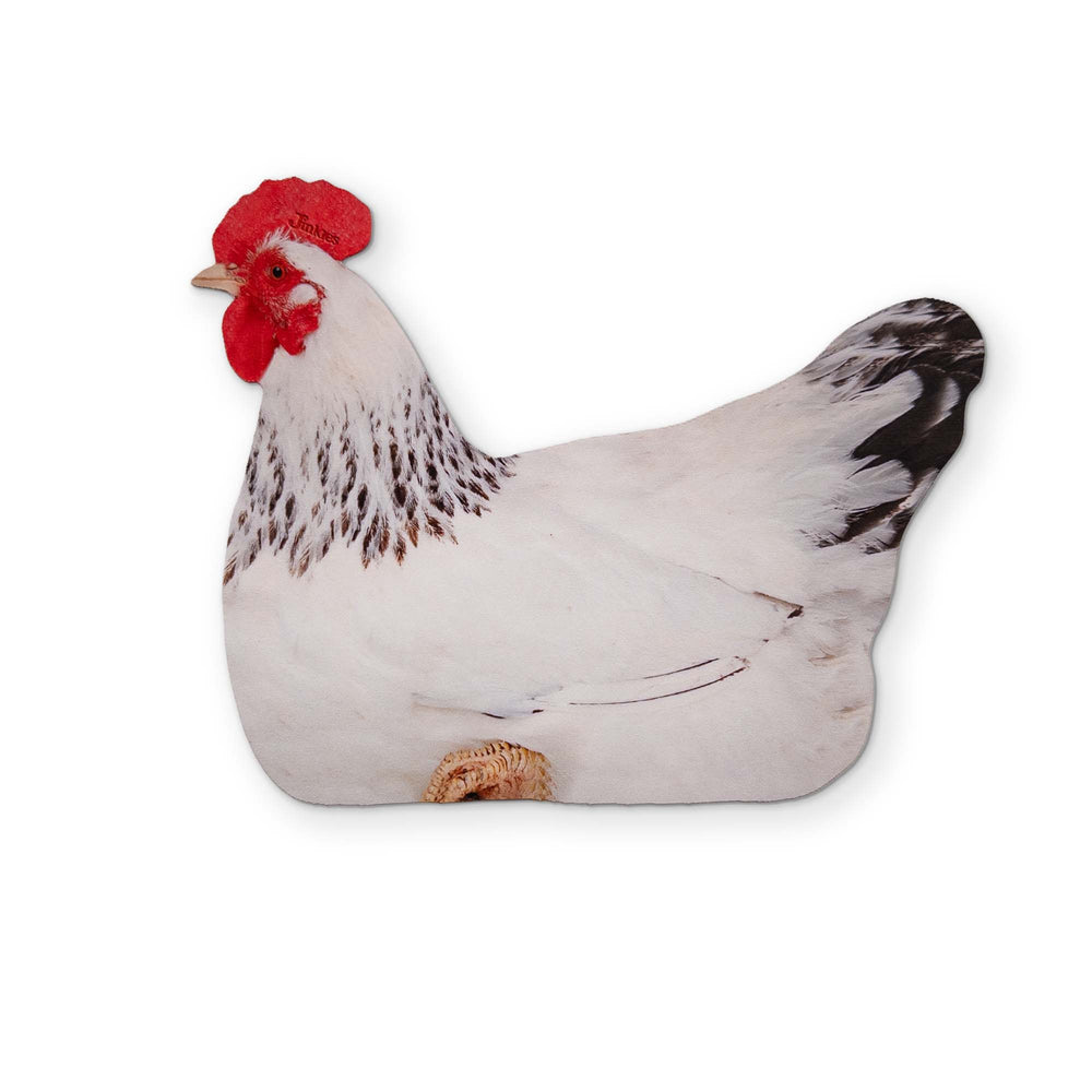 A CHICKEN YOU CAN CLEAN YOUR GLASSES WITH
