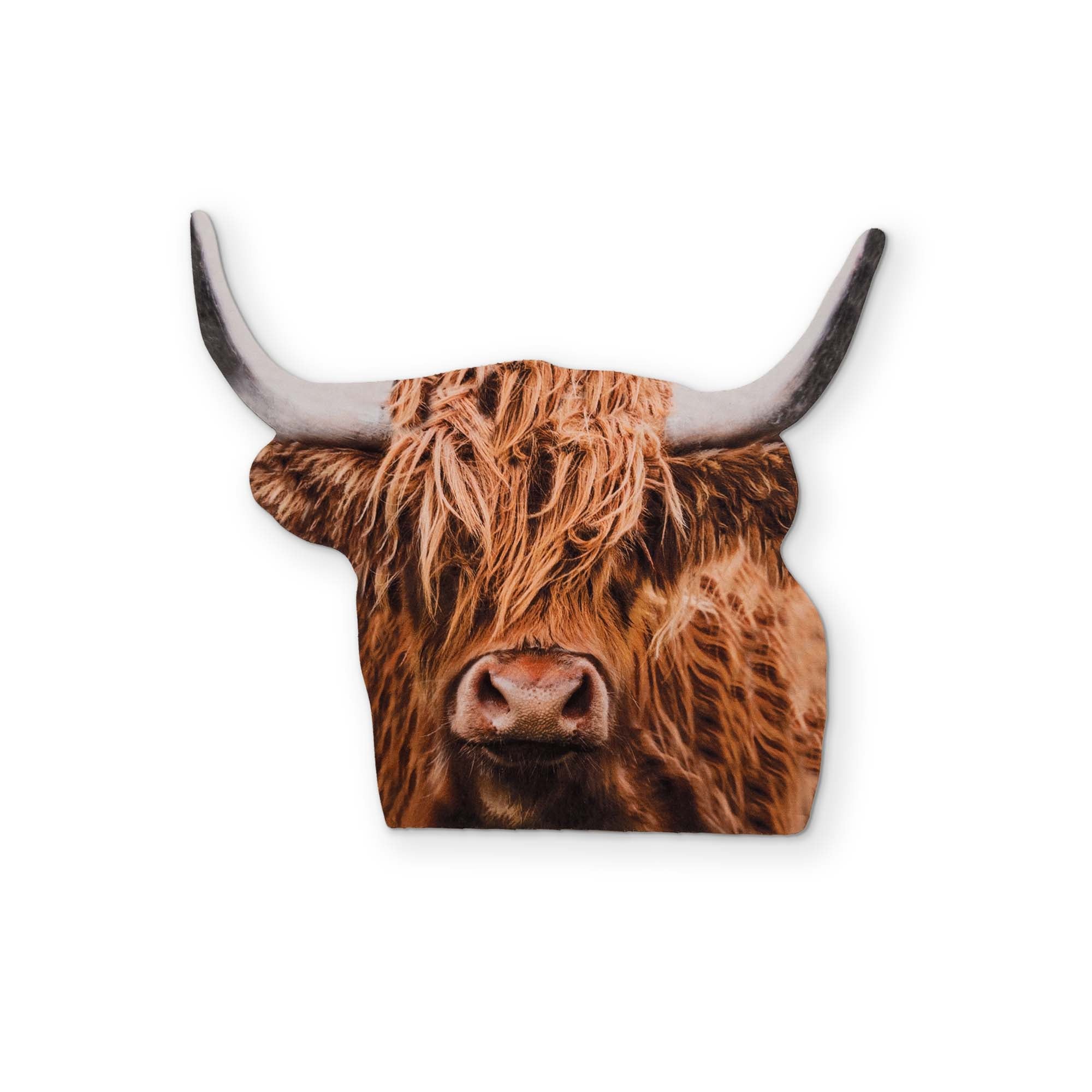 A HIGHLAND COW YOU CAN CLEAN YOUR GLASSES WITH