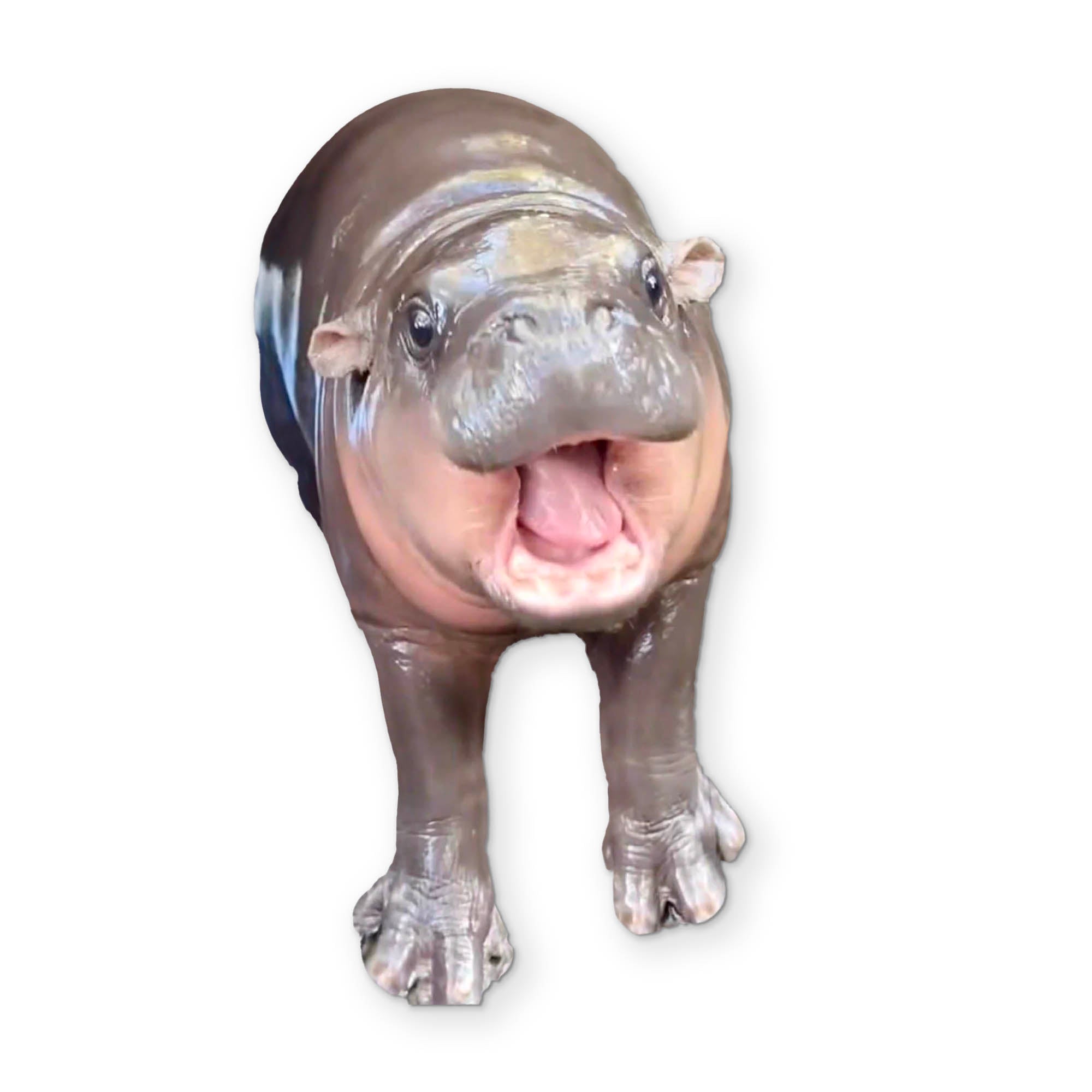 🦛 A MOO DENG YOU CAN CLEAN YOUR GLASSES WITH