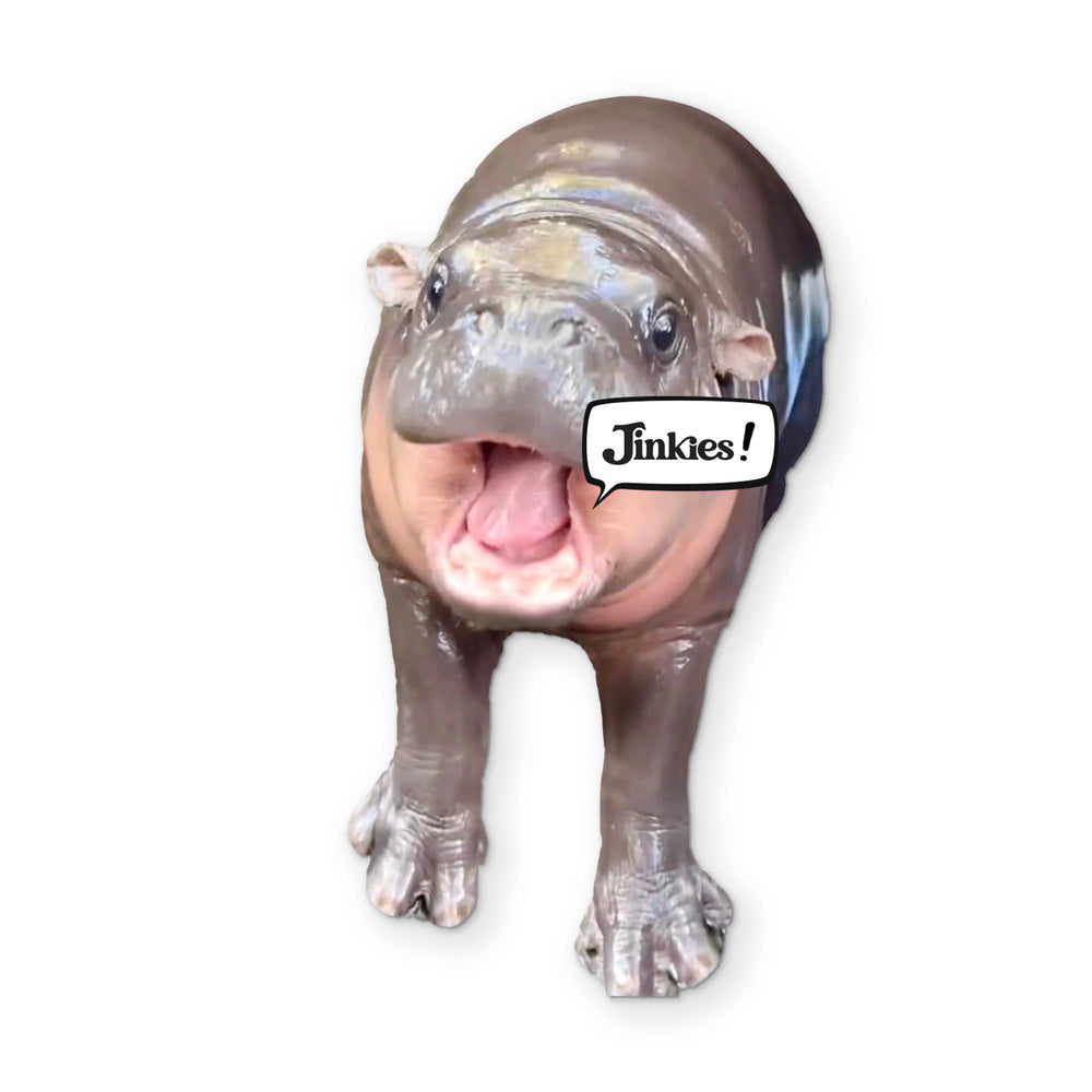 🦛 A MOO DENG YOU CAN CLEAN YOUR GLASSES WITH