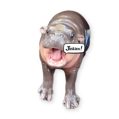 🦛 A MOO DENG YOU CAN CLEAN YOUR GLASSES WITH