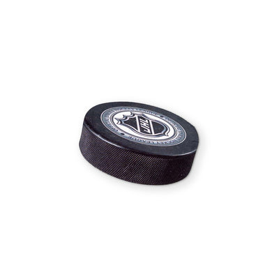 🏒 A HOCKEY PUCK YOU CAN CLEAN YOUR GLASSES WITH