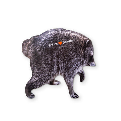 🦝 A JIMOTHY RACCOON MEME YOU CAN CLEAN YOUR GLASSES WITH