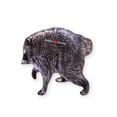 🦝 A JIMOTHY RACCOON MEME YOU CAN CLEAN YOUR GLASSES WITH
