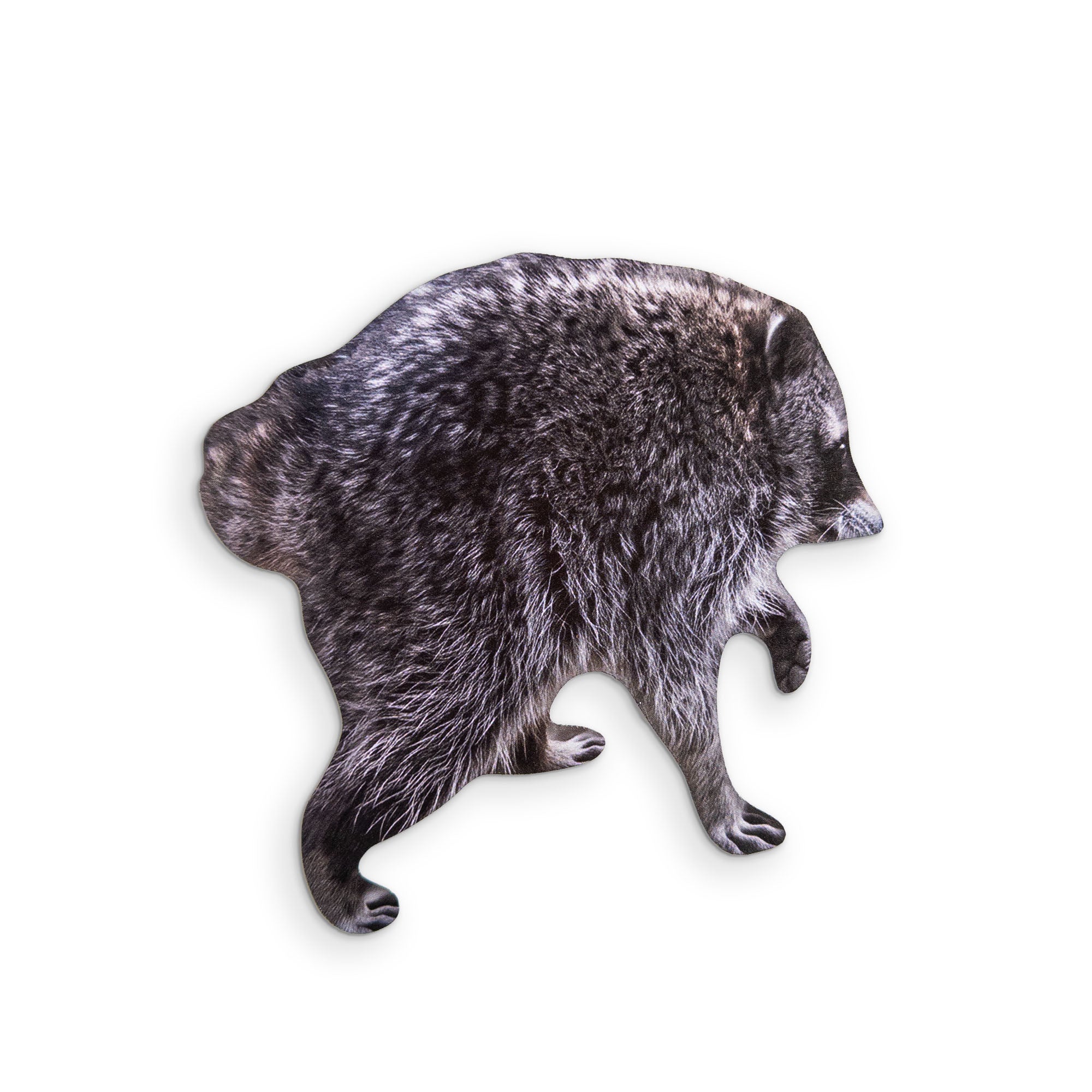 🦝 A JIMOTHY RACCOON MEME YOU CAN CLEAN YOUR GLASSES WITH