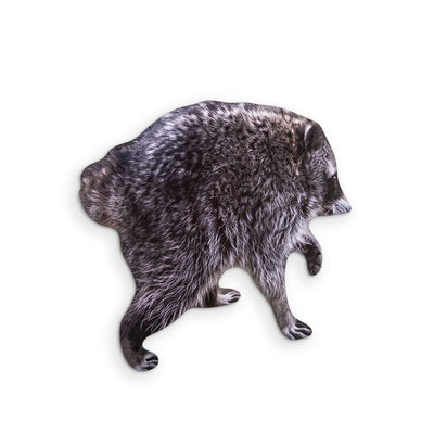 🦝 A JIMOTHY RACCOON MEME YOU CAN CLEAN YOUR GLASSES WITH