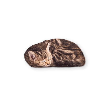 A KITTEN YOU CAN CLEAN YOUR GLASSES WITH