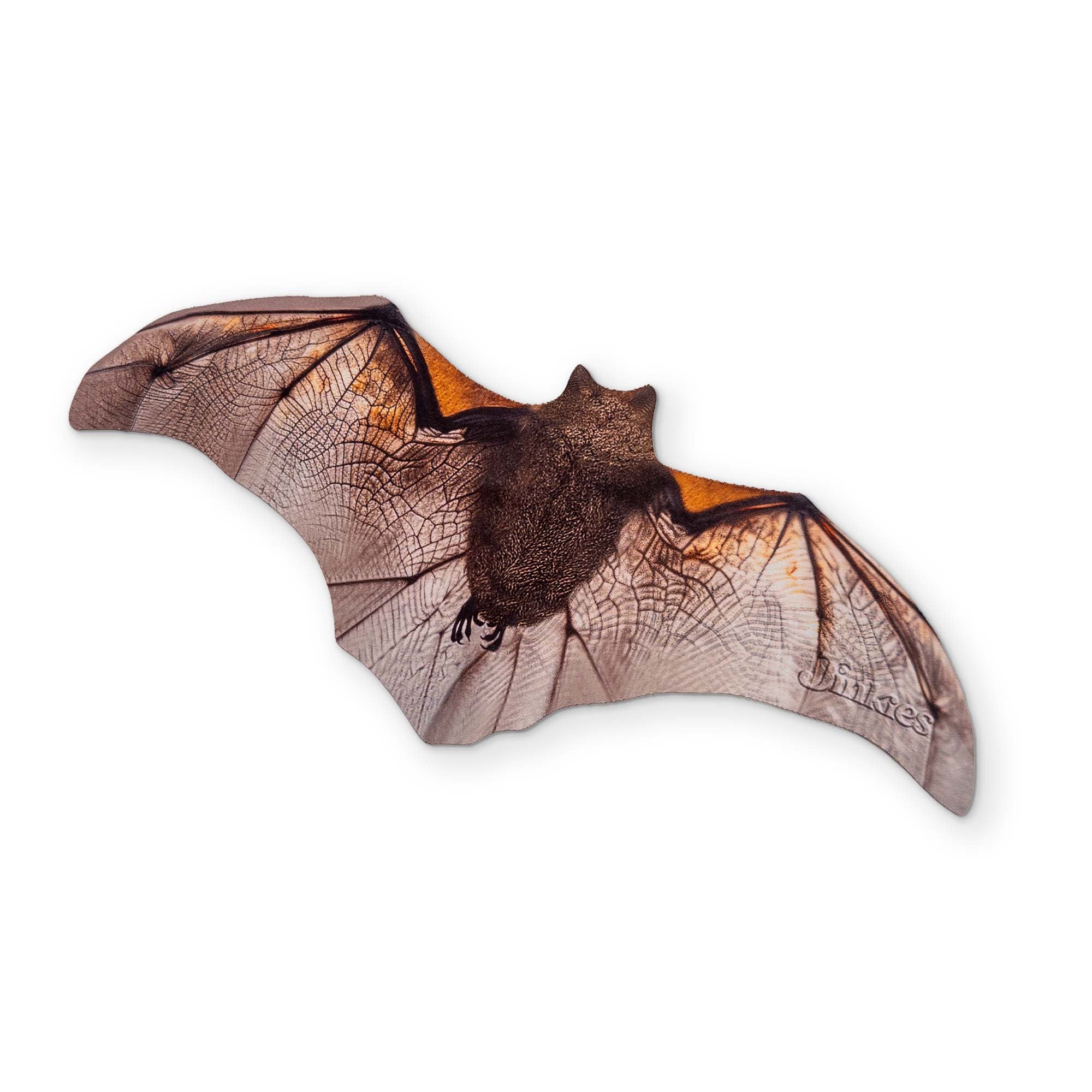A LITTLE BROWN BAT YOU CAN CLEAN YOUR GLASSES WITH