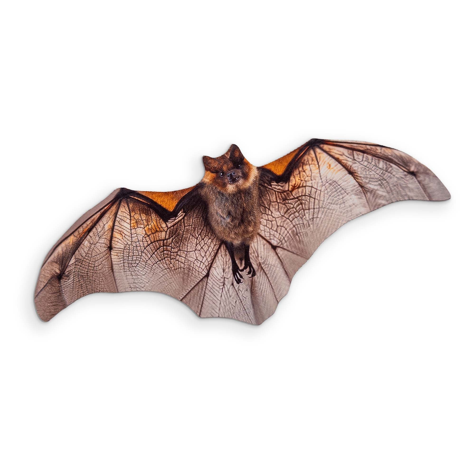 A LITTLE BROWN BAT YOU CAN CLEAN YOUR GLASSES WITH