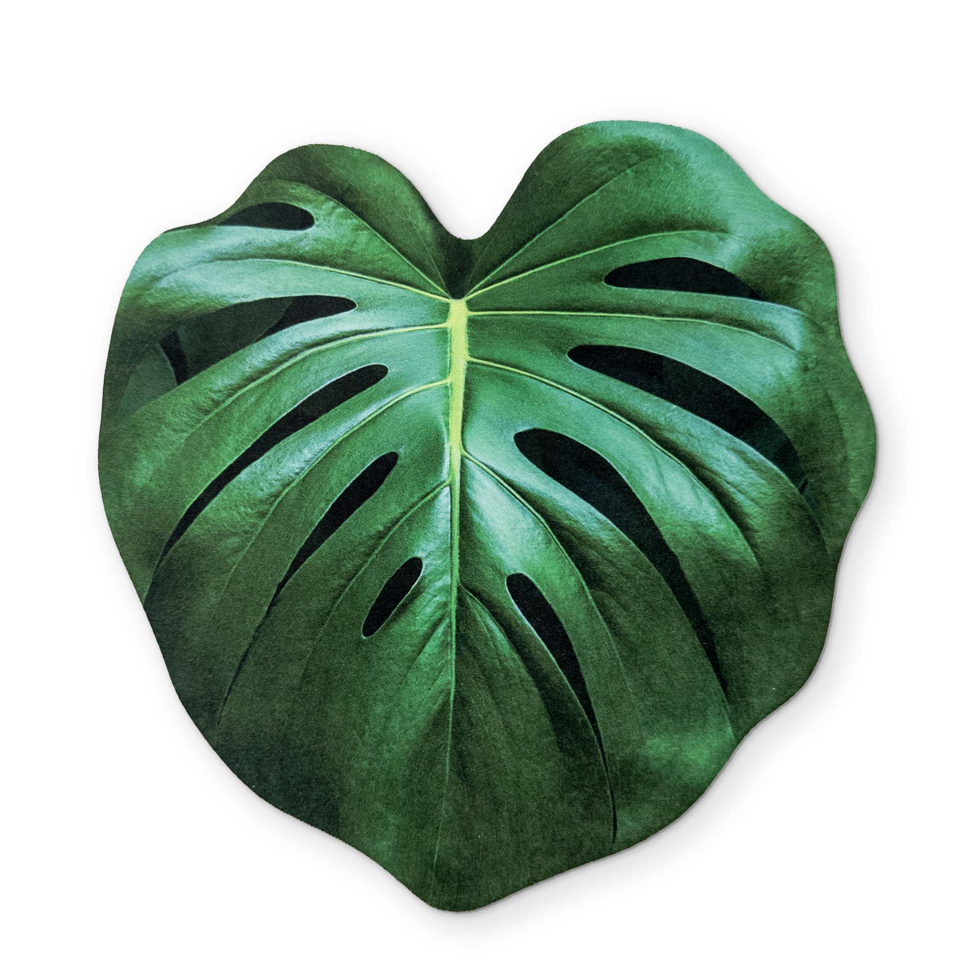 A MONSTERA LEAF YOU CAN CLEAN YOUR GLASSES WITH
