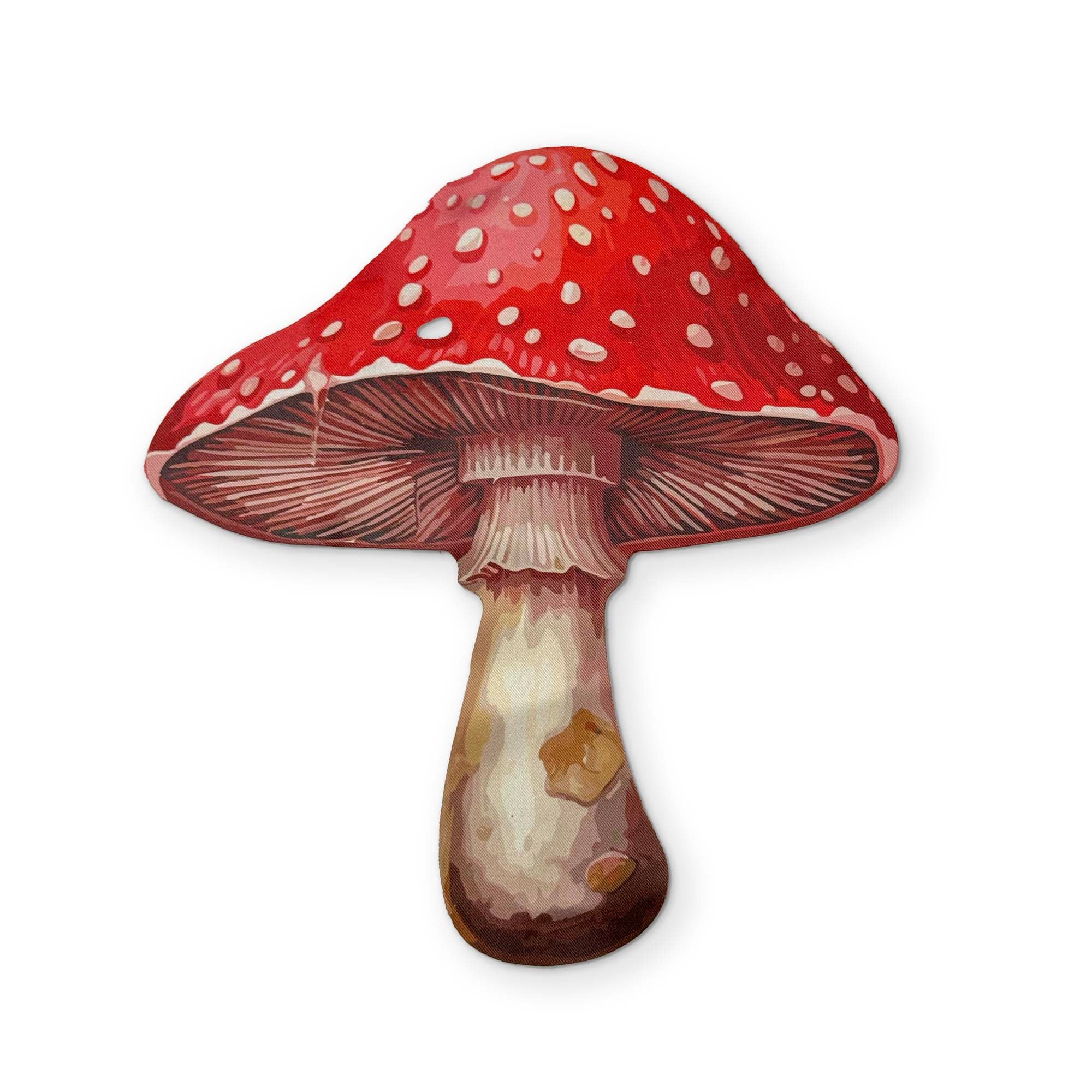 🍄 A MUSHROOM YOU CAN CLEAN YOUR GLASSES WITH