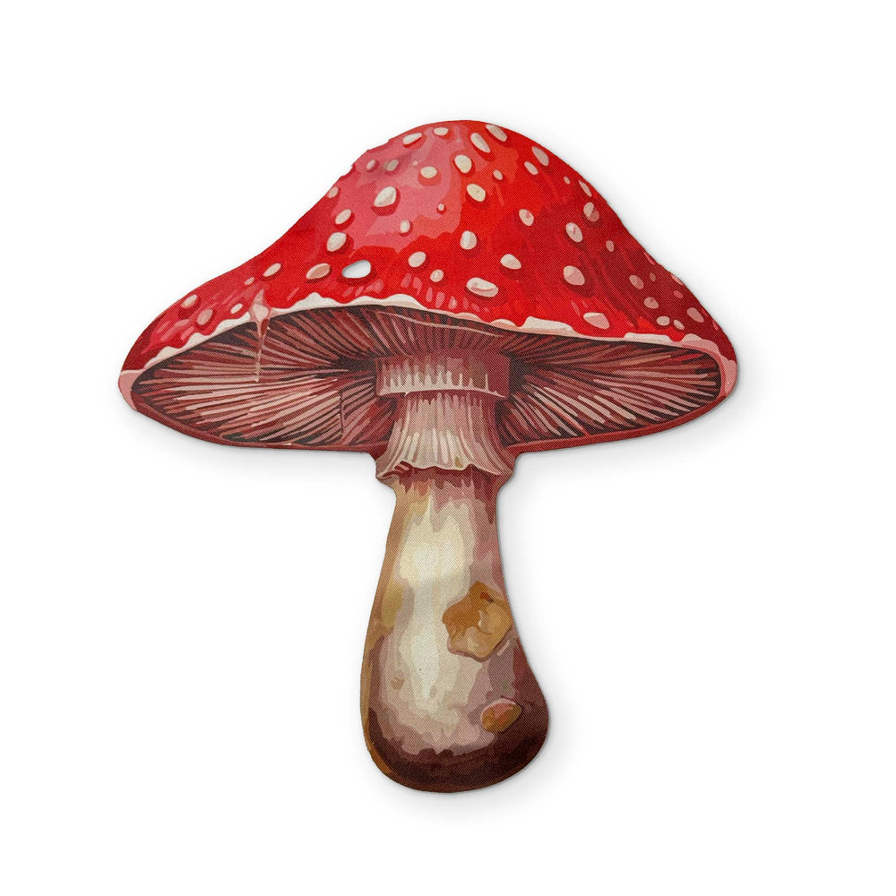 🍄 A MUSHROOM YOU CAN CLEAN YOUR GLASSES WITH