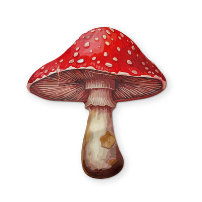 🍄 A MUSHROOM YOU CAN CLEAN YOUR GLASSES WITH