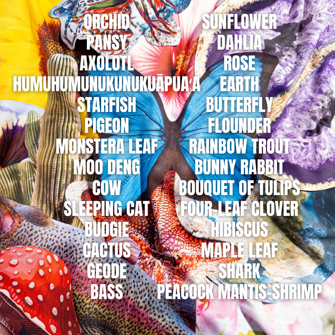 Nature Bundle Nerdwax