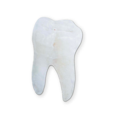 🦷 A CLEAN TOOTH YOU CAN CLEAN YOUR GLASSES WITH