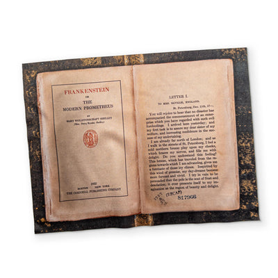 FRANKENSTEIN - A BOOK YOU CAN CLEAN YOUR GLASSES WITH