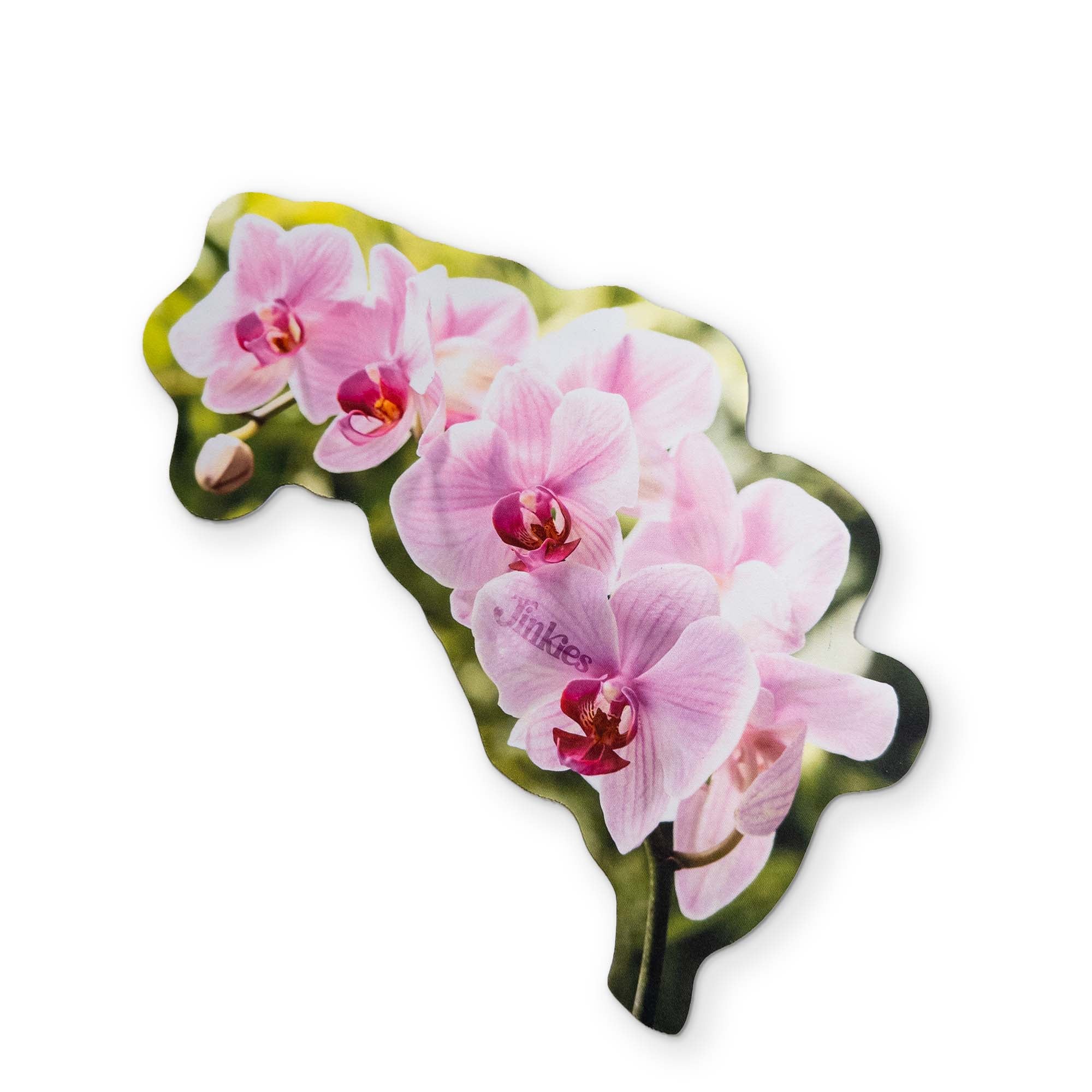 AN ORCHID YOU CAN CLEAN YOUR GLASSES WITH