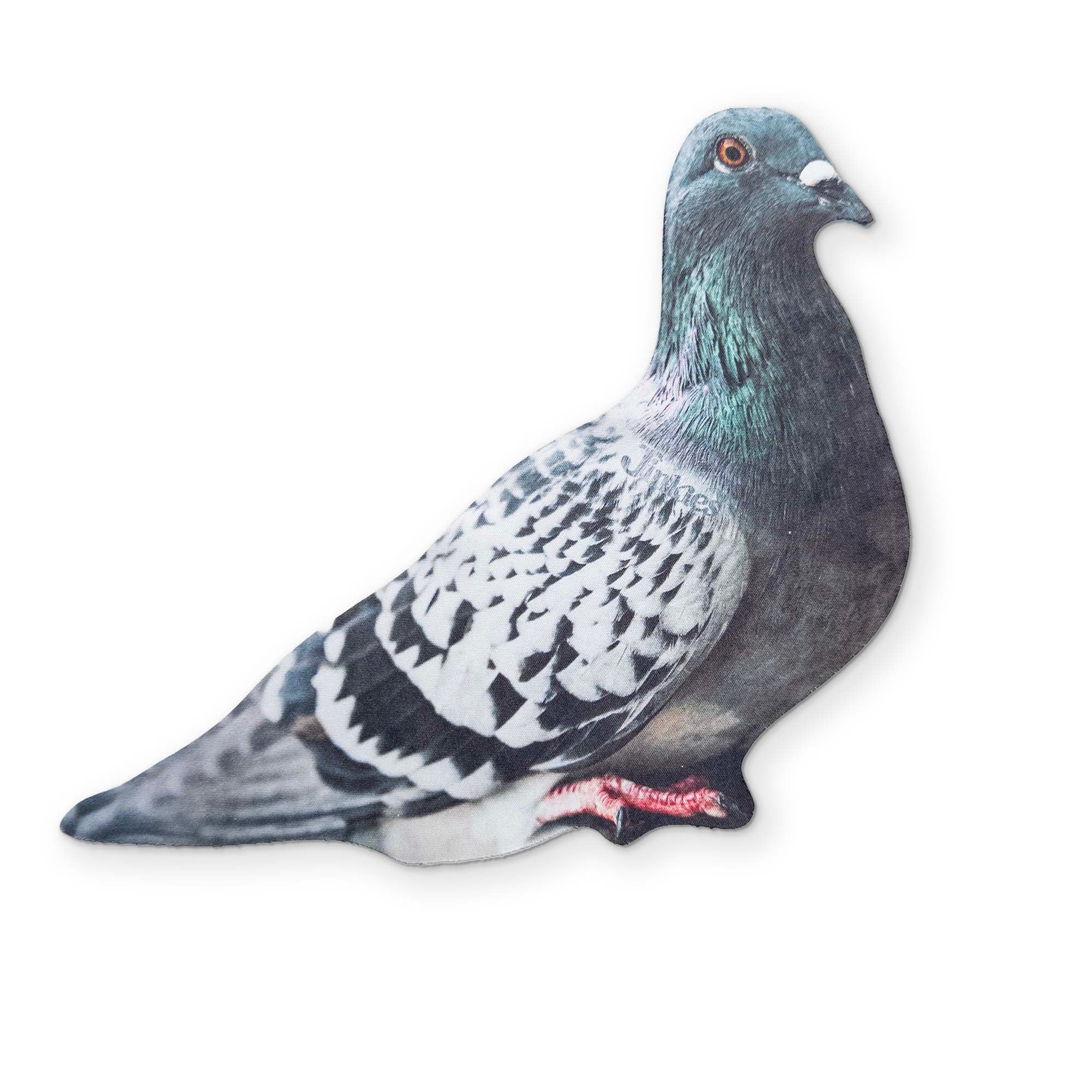 A PIGEON YOU CAN CLEAN YOUR GLASSES WITH