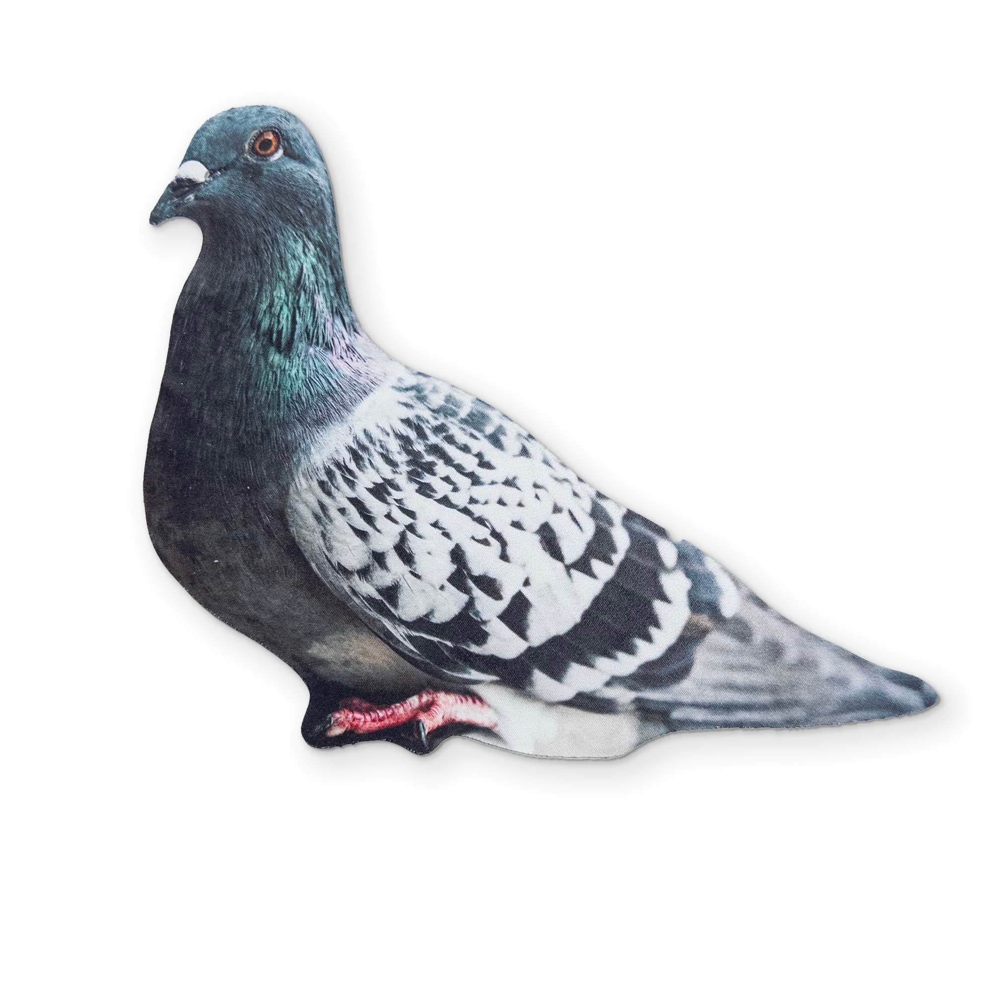 A PIGEON YOU CAN CLEAN YOUR GLASSES WITH