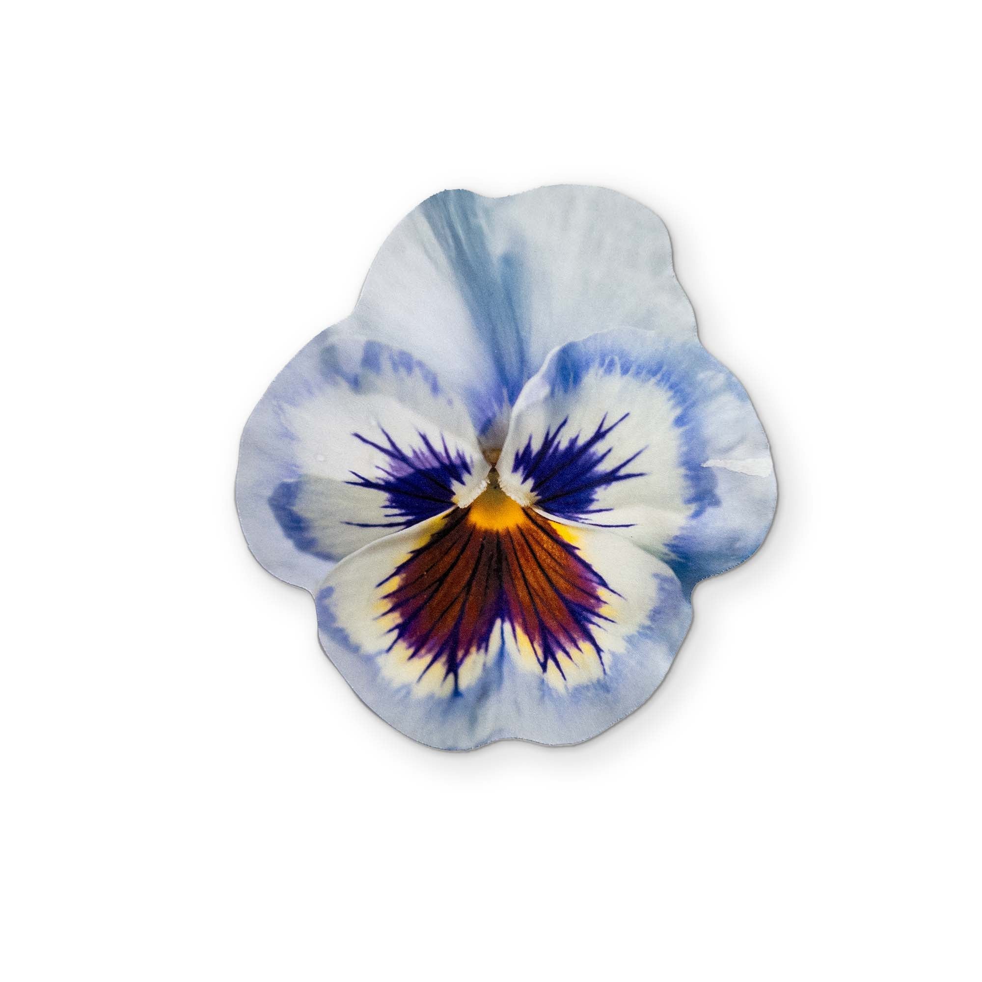 A PANSY YOU CAN CLEAN YOUR GLASSES WITH