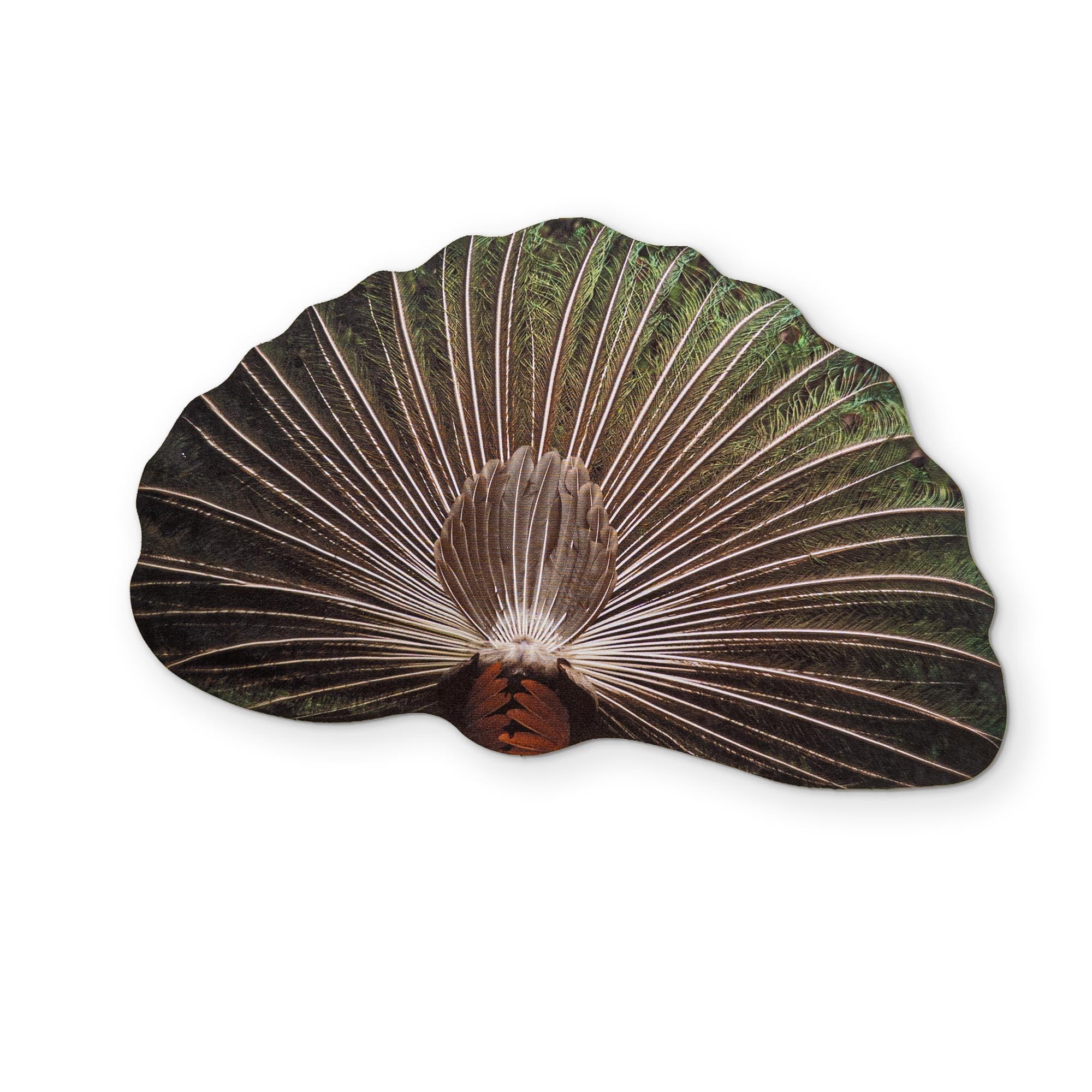 A PEACOCK YOU CAN CLEAN YOUR GLASSES WITH