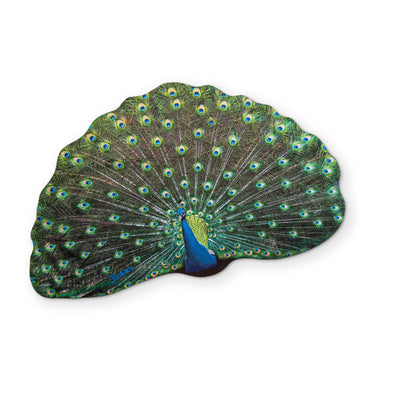 A PEACOCK YOU CAN CLEAN YOUR GLASSES WITH