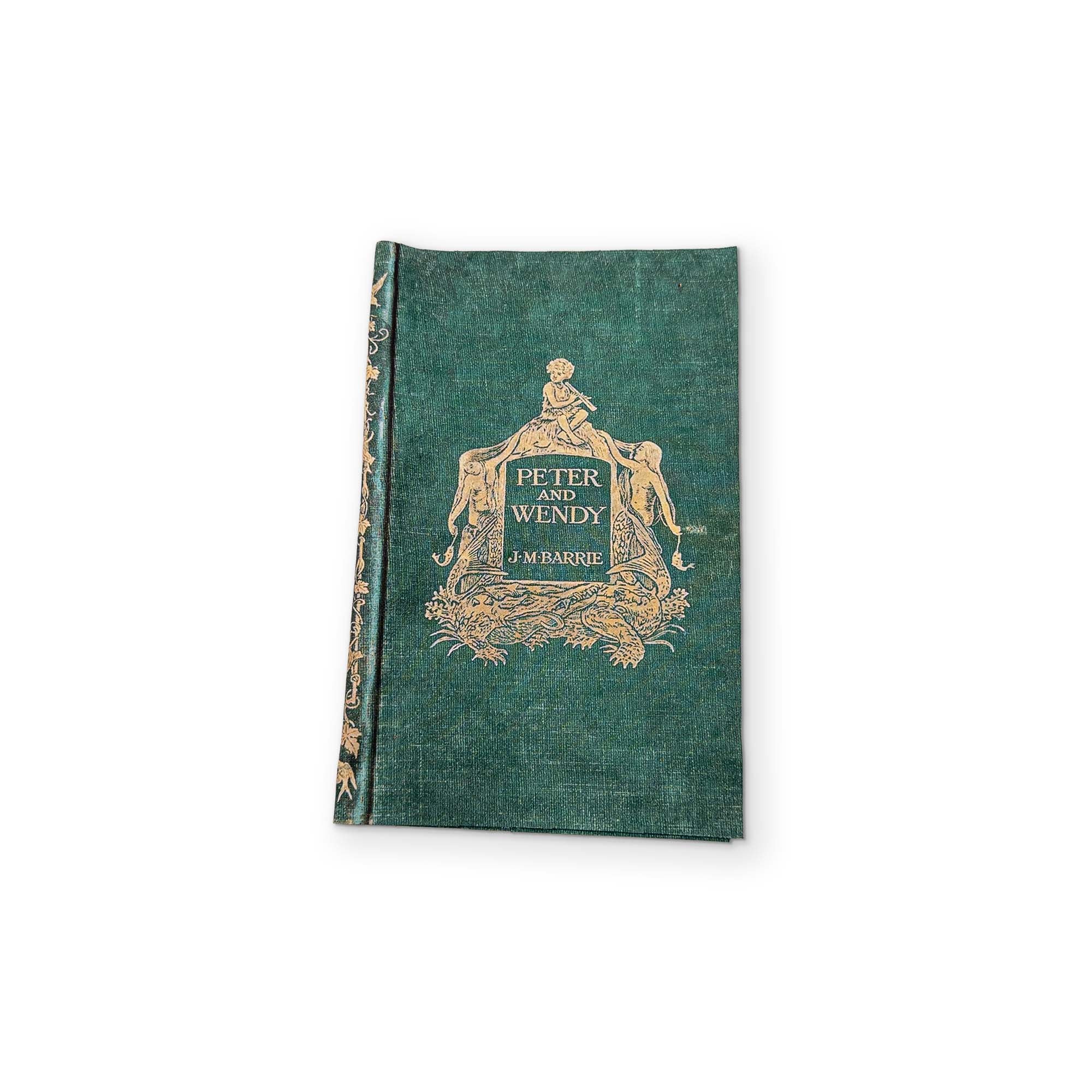 PETER PAN - A BOOK YOU CAN CLEAN YOUR GLASSES WITH