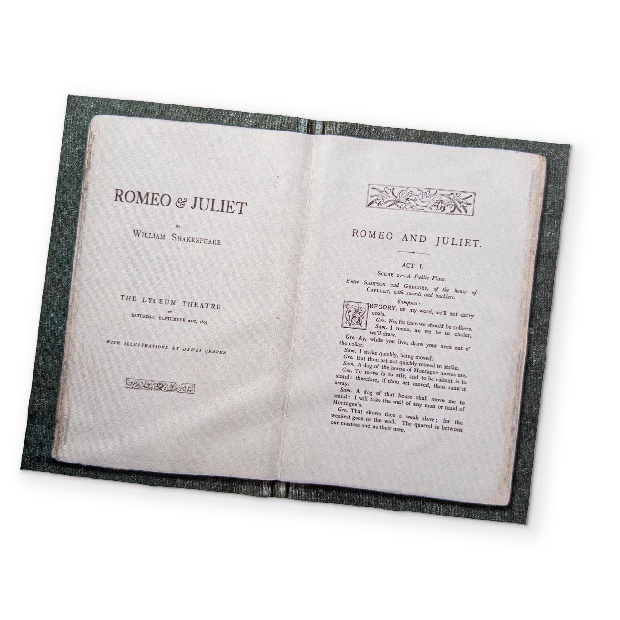 ROMEO & JULIET - A BOOK YOU CAN CLEAN YOUR GLASSES WITH