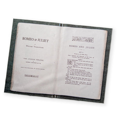 ROMEO & JULIET - A BOOK YOU CAN CLEAN YOUR GLASSES WITH