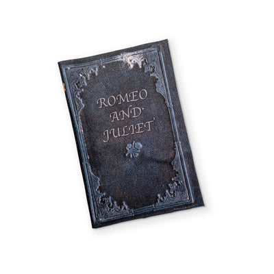 ROMEO & JULIET - A BOOK YOU CAN CLEAN YOUR GLASSES WITH