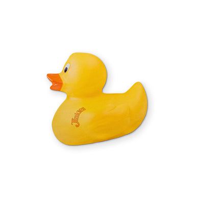 A RUBBER DUCK YOU CAN CLEAN YOUR GLASSES WITH
