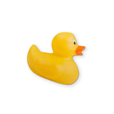 A RUBBER DUCK YOU CAN CLEAN YOUR GLASSES WITH