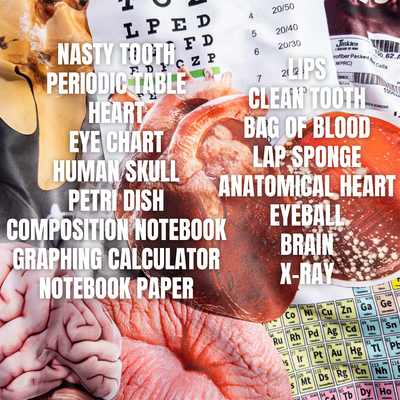 Science Bundle