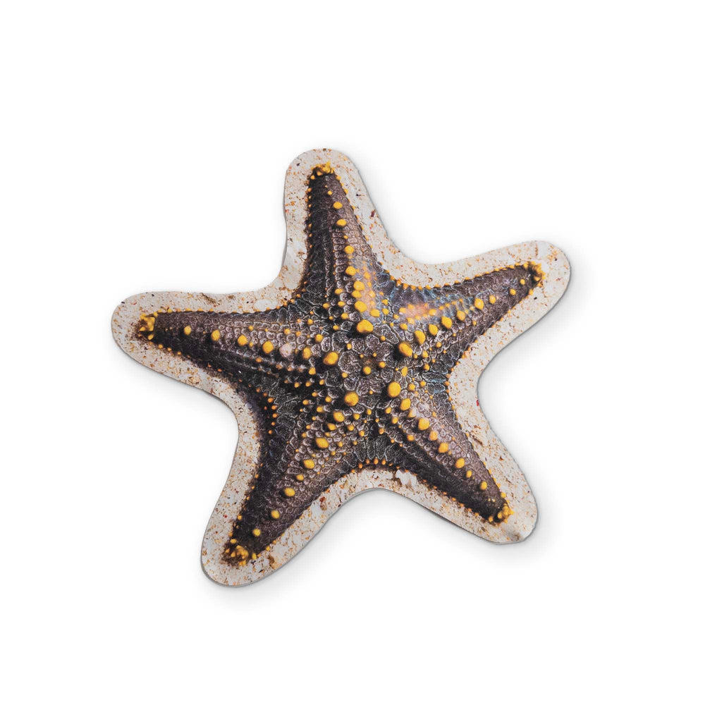A STARFISH YOU CAN CLEAN YOUR GLASSES WITH