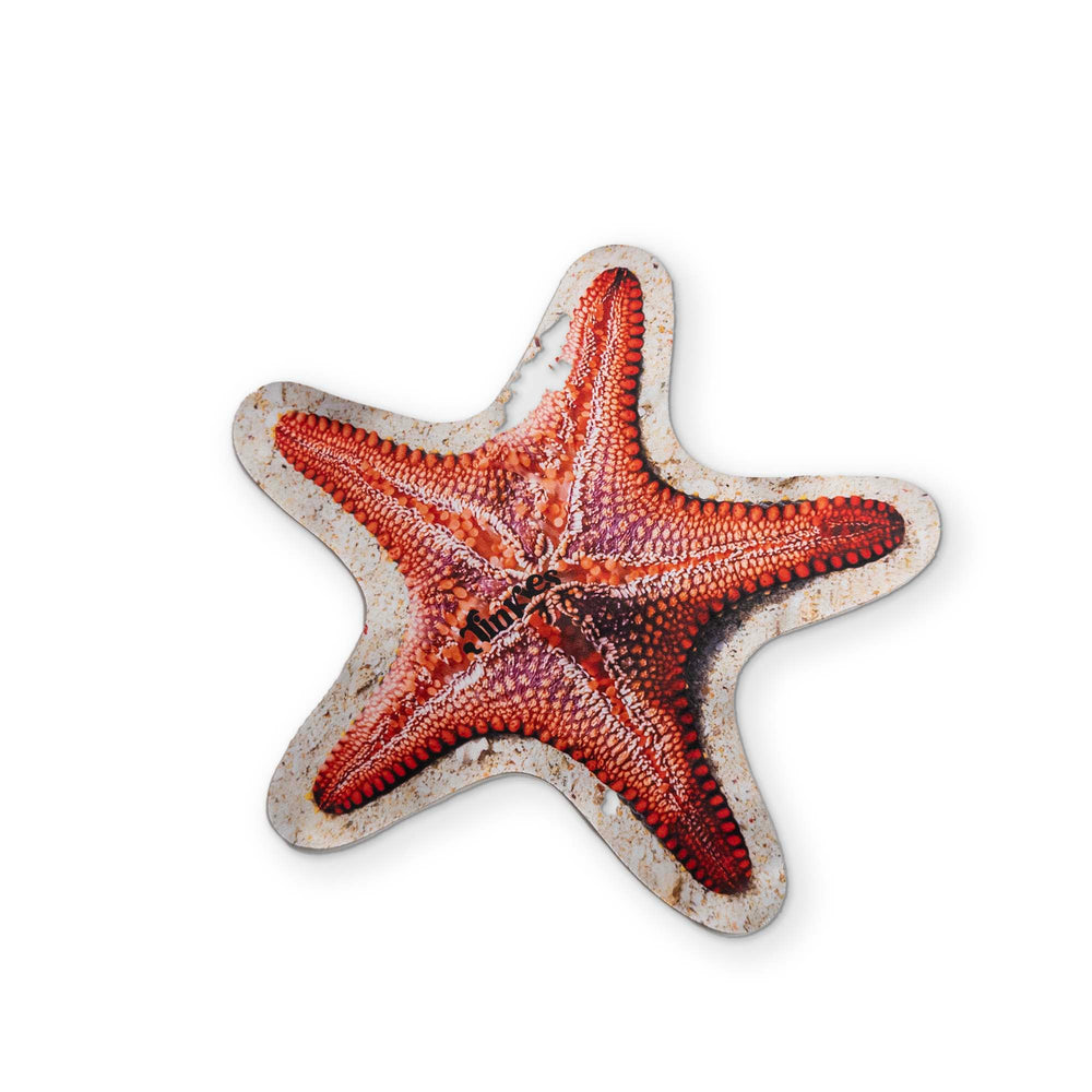 A STARFISH YOU CAN CLEAN YOUR GLASSES WITH