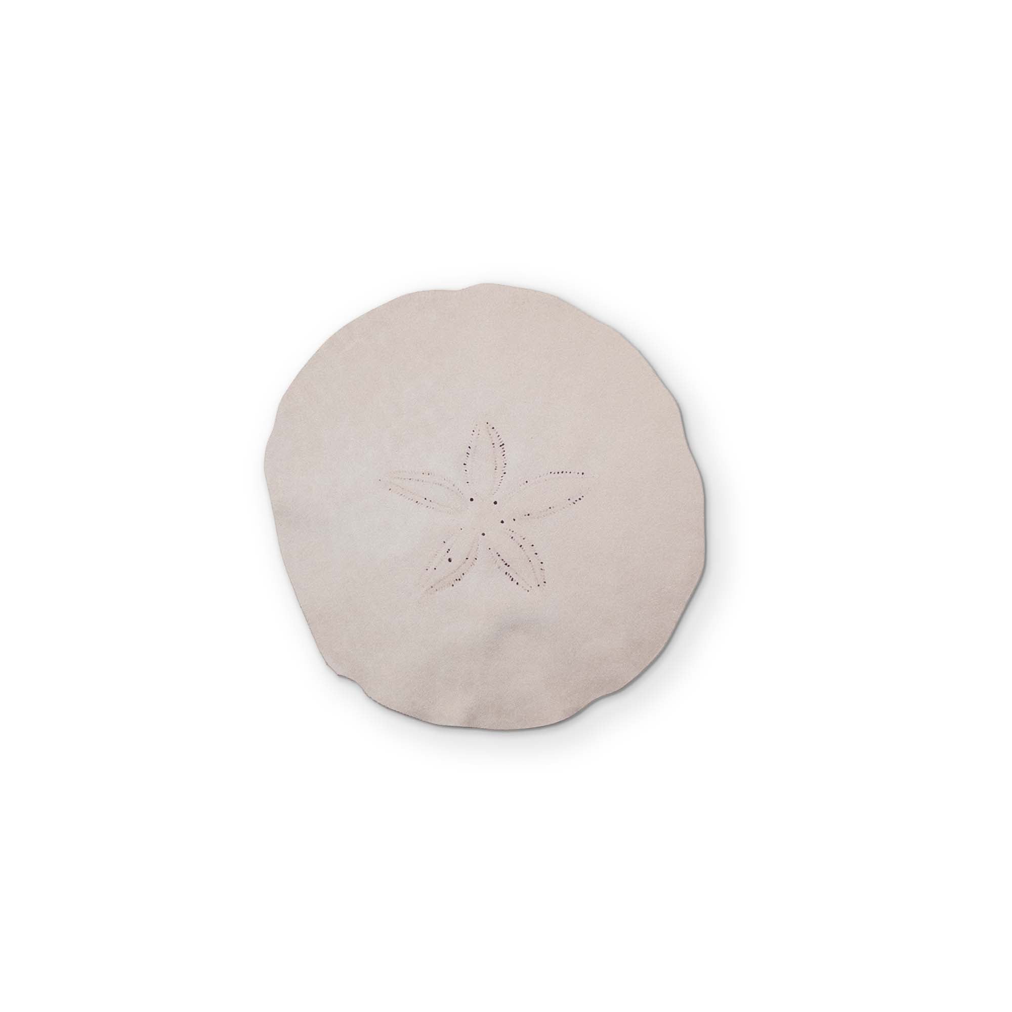 A SAND DOLLAR YOU CAN CLEAN YOUR GLASSES WITH