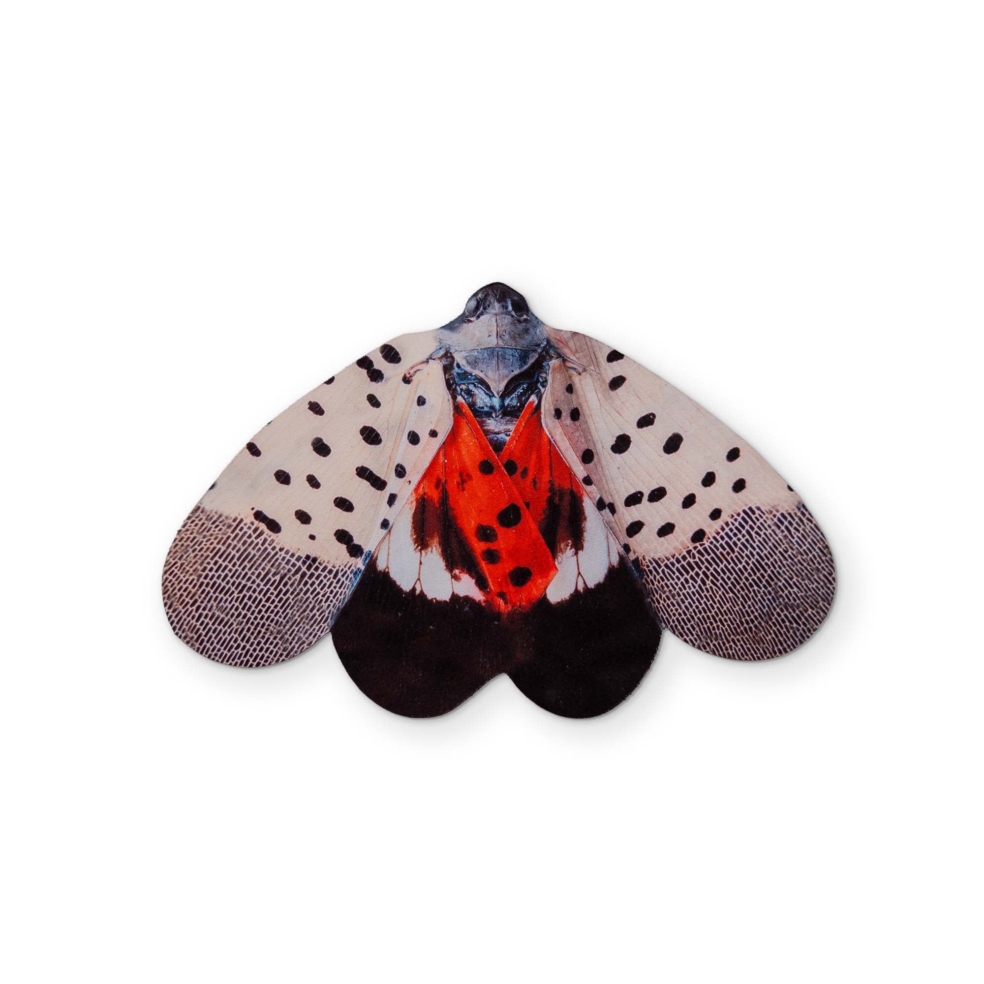 A SPOTTED LANTERNFLY YOU CAN CLEAN YOUR GLASSES WITH