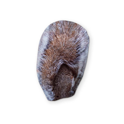 A SQUIRREL YOU CAN CLEAN YOUR GLASSES WITH