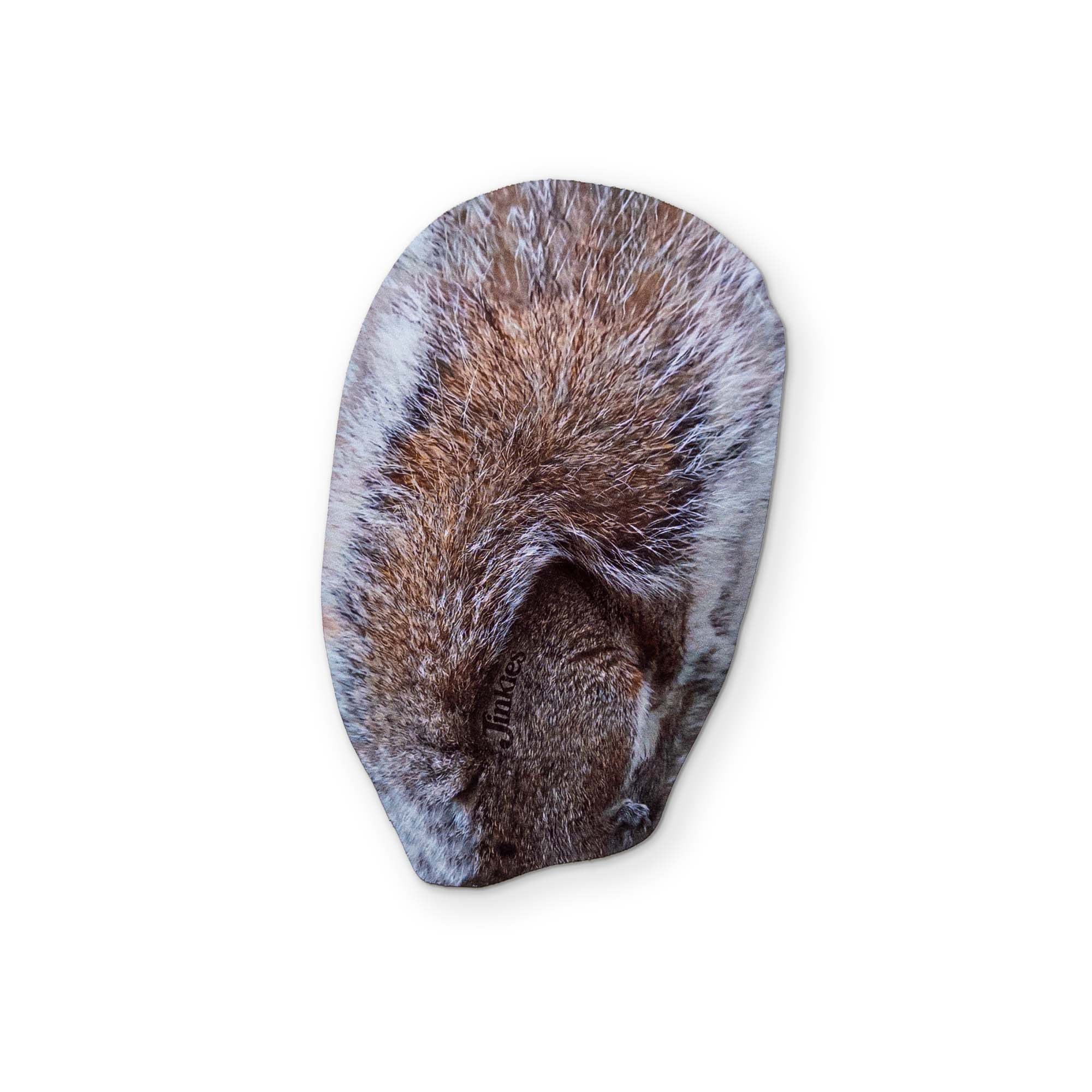 A SQUIRREL YOU CAN CLEAN YOUR GLASSES WITH