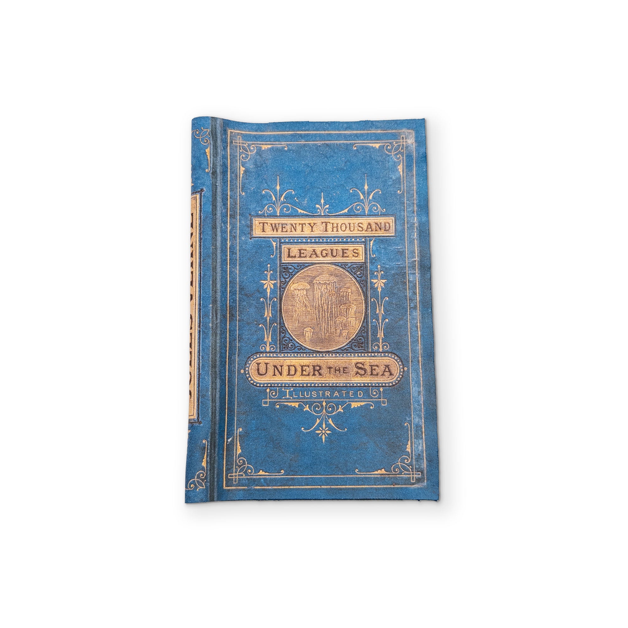 20k LEAGUES UNDER THE SEA - A BOOK YOU CAN CLEAN YOUR GLASSES WITH